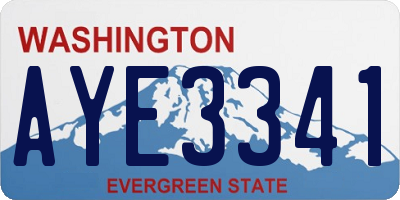 WA license plate AYE3341