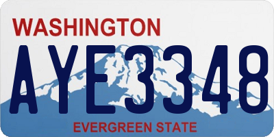 WA license plate AYE3348