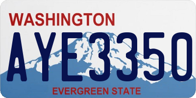 WA license plate AYE3350