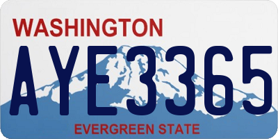 WA license plate AYE3365