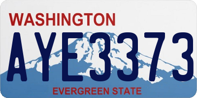 WA license plate AYE3373