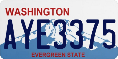 WA license plate AYE3375