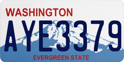 WA license plate AYE3379