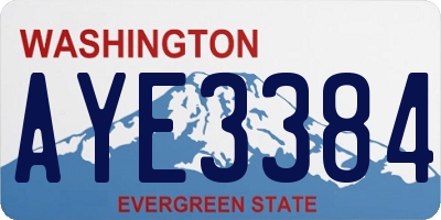 WA license plate AYE3384