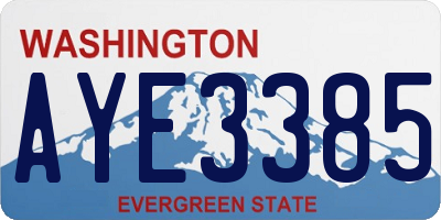 WA license plate AYE3385