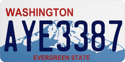 WA license plate AYE3387