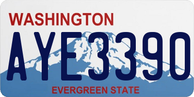 WA license plate AYE3390
