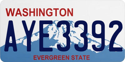 WA license plate AYE3392