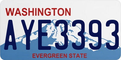WA license plate AYE3393