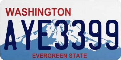 WA license plate AYE3399