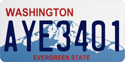 WA license plate AYE3401