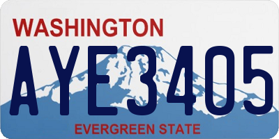 WA license plate AYE3405