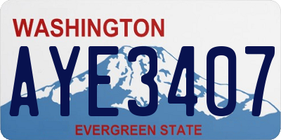WA license plate AYE3407