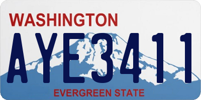 WA license plate AYE3411