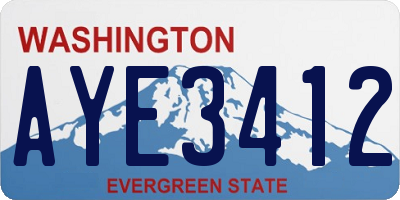 WA license plate AYE3412