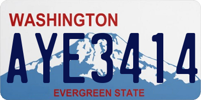 WA license plate AYE3414