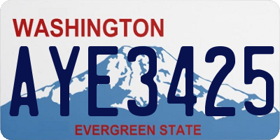WA license plate AYE3425