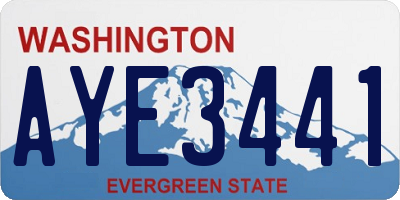 WA license plate AYE3441