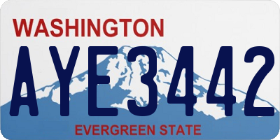 WA license plate AYE3442