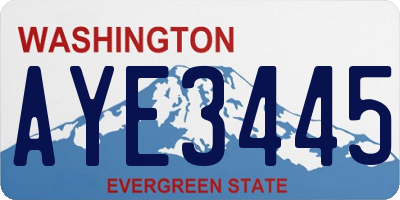 WA license plate AYE3445