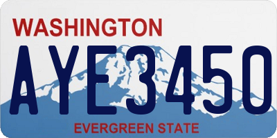 WA license plate AYE3450