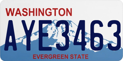 WA license plate AYE3463