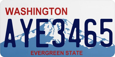 WA license plate AYE3465