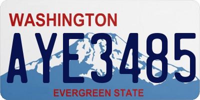 WA license plate AYE3485