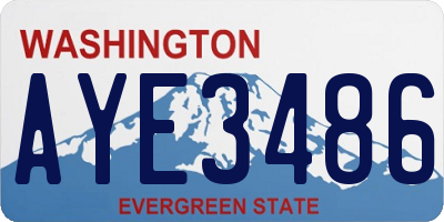 WA license plate AYE3486