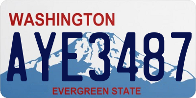 WA license plate AYE3487