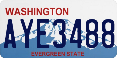 WA license plate AYE3488