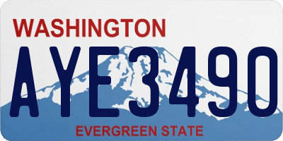 WA license plate AYE3490