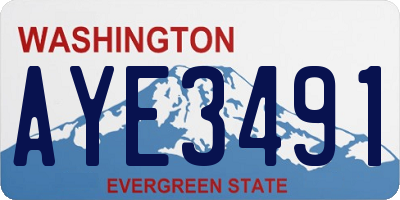WA license plate AYE3491