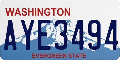 WA license plate AYE3494
