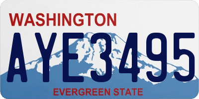 WA license plate AYE3495