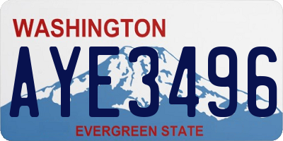 WA license plate AYE3496