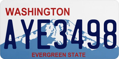 WA license plate AYE3498
