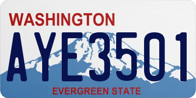 WA license plate AYE3501