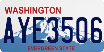 WA license plate AYE3506