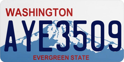 WA license plate AYE3509
