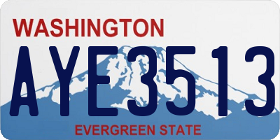 WA license plate AYE3513