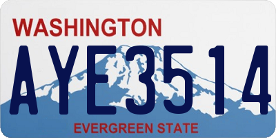 WA license plate AYE3514