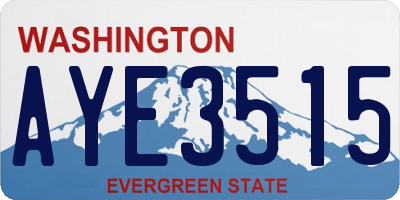 WA license plate AYE3515
