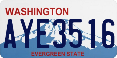WA license plate AYE3516