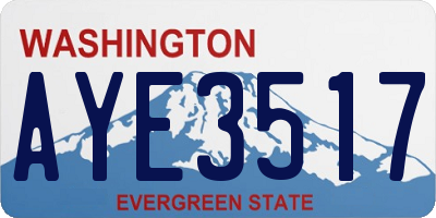 WA license plate AYE3517