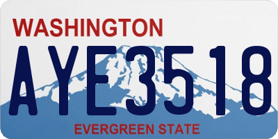 WA license plate AYE3518