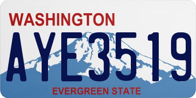 WA license plate AYE3519