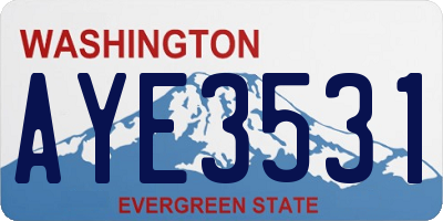 WA license plate AYE3531
