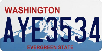 WA license plate AYE3534