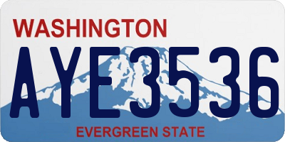 WA license plate AYE3536